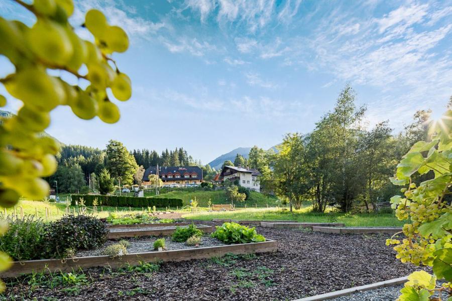 Vitaler Landauerhof Hotel Schladming